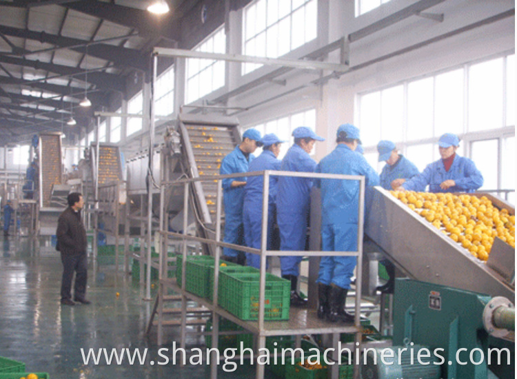 Lemon sorter machine for Engineers available to service